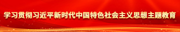 爆操欧美学习贯彻习近平新时代中国特色社会主义思想主题教育